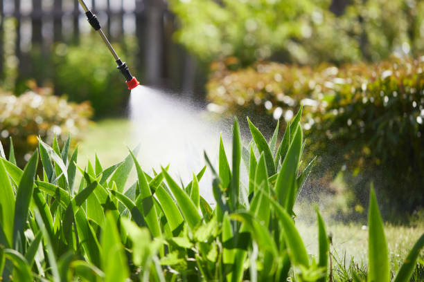 Tamper-Resistant Bait Stations for Rodents in Chouteau