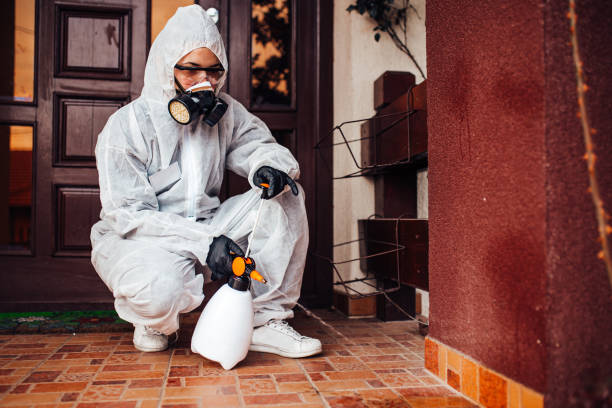 Attic and Crawl Space Rodent Treatment in Chouteau