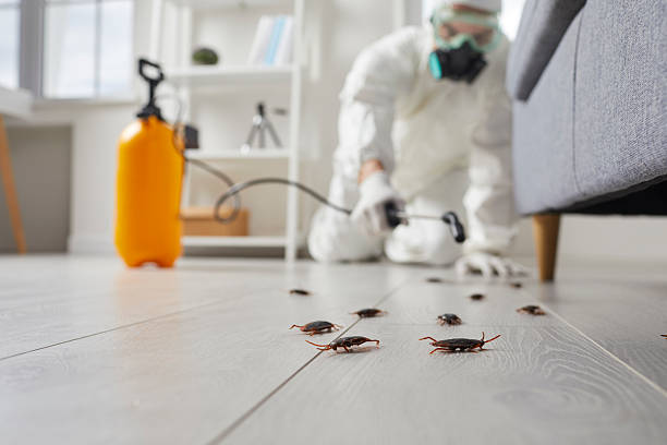 Commercial Rodent Management in Chouteau